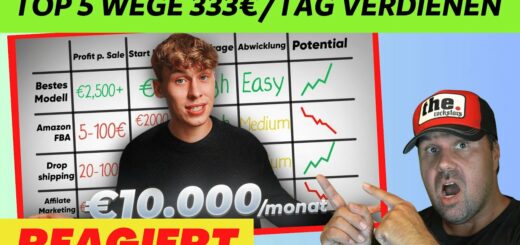 TOP 5 Wege 333€/TAG online verdienen in 2024 | Michael reagiert Vilius Lite