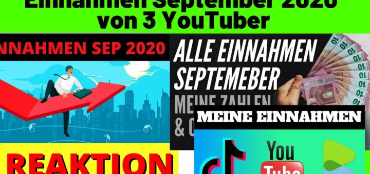 Einnahmen September 2020 ✅  Einnahmen Youtube, Digistore24, TikTok, Dividenden [Michael Reagiertauf]