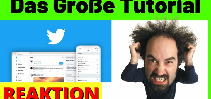 Twitter (Das Große Tutorial) Alles was du wissen musst [Michael Reagiertauf] Geld verdienen Twitter