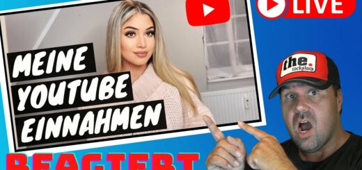 Mit YouTube Geld verdienen || Tipps für YouTube Anfänger, meine Einnahmen & Kooperation [Reaction]