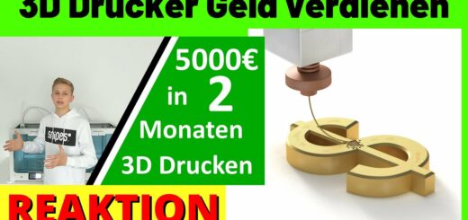 Mit dem 3D Drucker Geld verdienen 5000€  ✅ Geld verdienen 3D Drucker [Michael Reagiertauf]