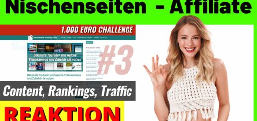 Nischenseiten  - Affiliate Content, Rankings & Webseiten Traffic [Michael Reagiertauf]