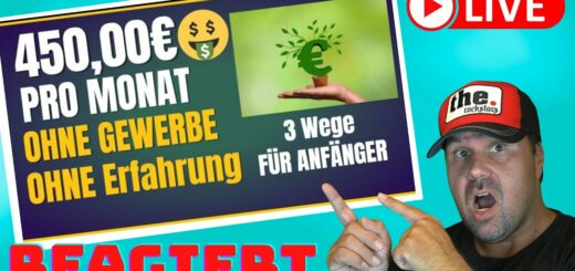 450,00€ PRO MONAT💰🤑💸 Online Geld verdienen OHNE GEWERBE & OHNE ERFAHRUNG (3 Wege)[Reaction]