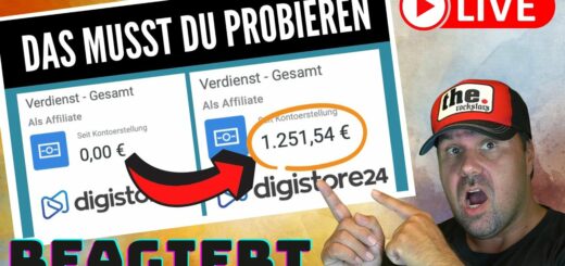 Einfachster Weg um mit Digistore24 Geld zu verdienen, als Anfänger (Affiliate Marketing) [Reaction]