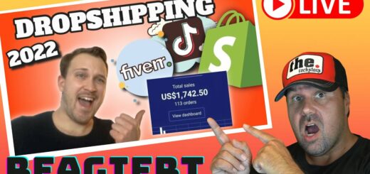 Verdiene Geld Mit DROPSHIPPING mit TikTok l Online geld verdienen 2022 [Reaction]