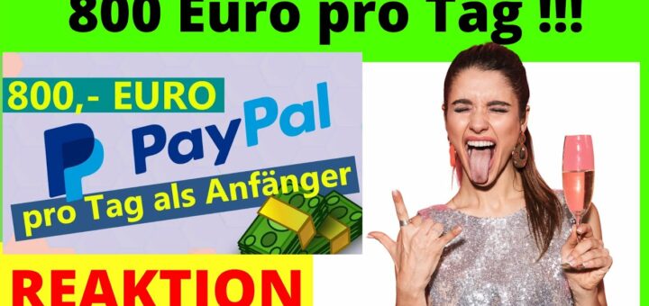 800 Euro pro Tag 💰online Geld verdienen als Anfänger  – komplette Anleitung [Michael Reagiertauf]