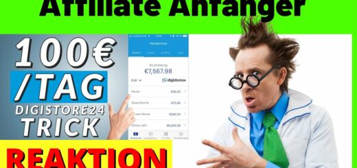 100€ am Tag als Affiliate Anfänger mit Digistore 24 Anleitung | Geld verdienen [Michael Reagiertauf]